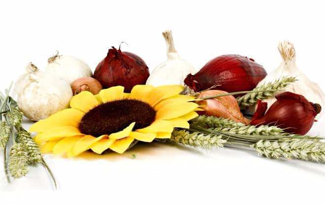 Make This a Habit: 3 Healing Super Foods to Eat Everyday Plus Delicious Vegan Recipes
