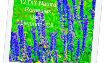 The Healing Power of Lavender Essential Oil: 12 DIY Natural Health & Beauty Recipes