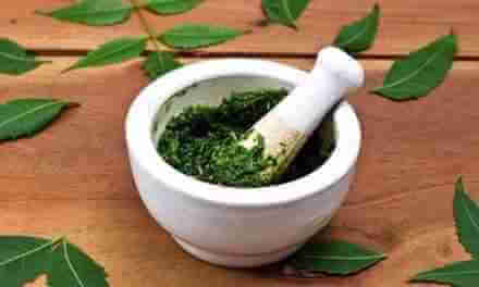 Best Herbs To Take To Reduce Wrinkling