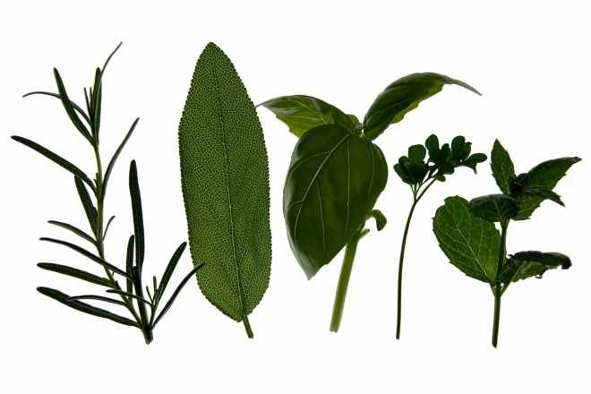 7 Refreshing Ways To Freshen Your Breath With Herbs