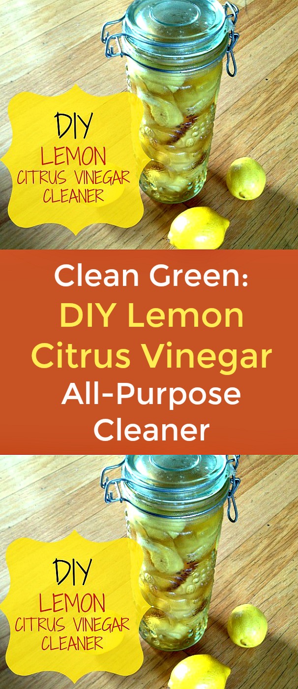 How to Clean Green: DIY Lemon Citrus Vinegar All-Purpose Cleaner - Add the scent and power of lemons to the amazing attributes of white vinegar and voila, you have an effective, non-toxic lemon citrus vinegar all-purpose cleaner. Vinegar is the superhero of “green” household cleaning products. #greenclean #DIYcleaner #lemons #vinegar #naturalcleaner #homemadecleaner #lemonvinegarcleaner How to Clean Green: DIY Lemon Citrus Vinegar All-Purpose Cleaner - Add the scent and power of lemons to the amazing attributes of white vinegar and voila, you have an effective, non-toxic lemon citrus vinegar all-purpose cleaner. Vinegar is the superhero of “green” household cleaning products. #greenclean #DIYcleaner #lemons #vinegar #naturalcleaner #homemadecleaner #lemonvinegarcleaner