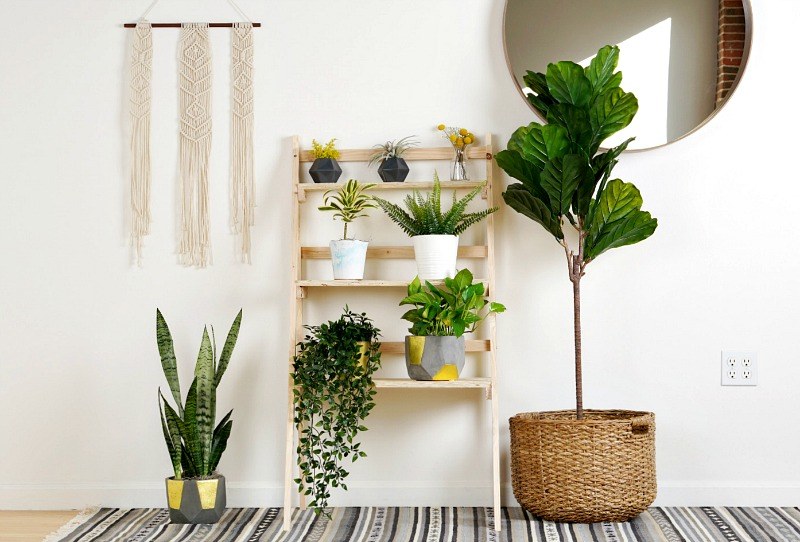 DIY Plant  Stand How to Create and Style a DIY Plant  Stand