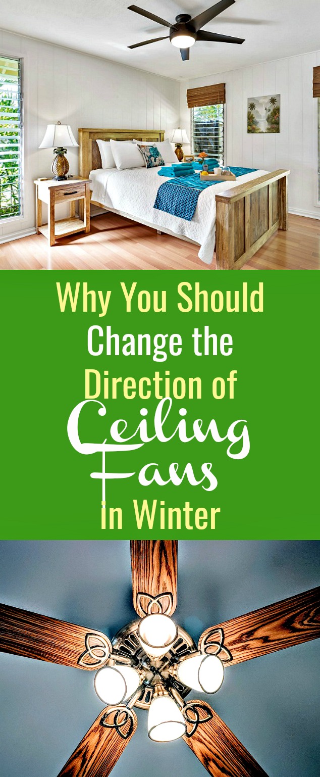 Why You Should Change The Direction Of Ceiling Fans In Winter