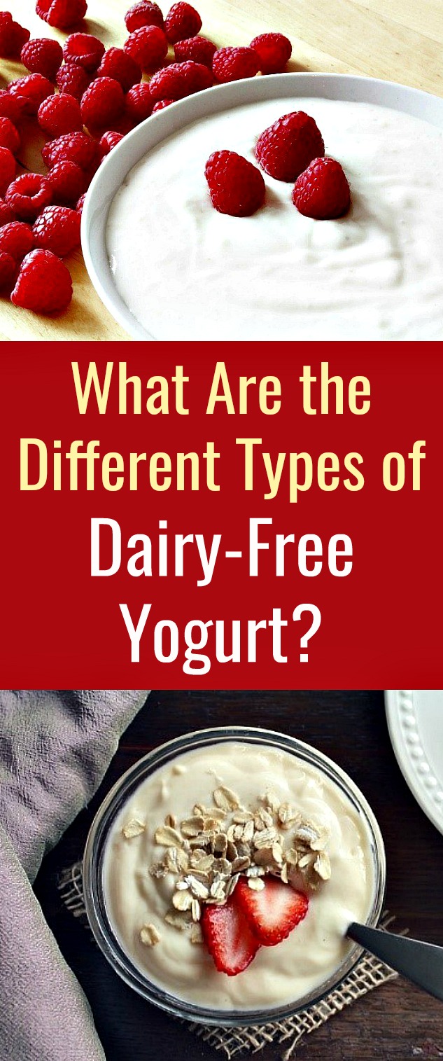 What Are the Different Types of Dairy-Free Yogurt? - There are several non-dairy yogurt options you can choose from that will provide you the health benefits of yogurt without the disadvantage of dairy. Four of the most common variants include yogurts made from coconut, soy, flax, and nuts like almond and cashew milk. #nondairy #yogurt #nondairyyogurt #soyyogurt #cashewyogurt #almondyogurt #flax #dairyfreeyogurt What Are the Different Types of Dairy-Free Yogurt? - There are several non-dairy yogurt options you can choose from that will provide you the health benefits of yogurt without the disadvantage of dairy. Four of the most common variants include yogurts made from coconut, soy, flax, and nuts like almond and cashew milk. #nondairy #yogurt #nondairyyogurt #soyyogurt #cashewyogurt #almondyogurt #flax #dairyfreeyogurt