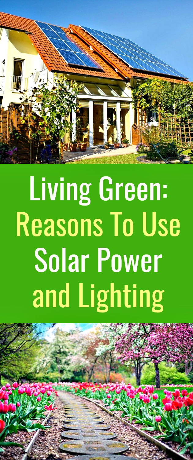 Living Green: Reasons To Use Solar Power and Lighting - Solar technology has expanded beyond solar panels and now includes solar lights. Consider adding solar technology to your life to live more environmentally friendly. #solar #solarpower #solarenergy #solarlighting #solarpanels #environment #environmentallyfriendly Living Green: Reasons To Use Solar Power and Lighting - Solar technology has expanded beyond solar panels and now includes solar lights. Consider adding solar technology to your life to live more environmentally friendly. #solar #solarpower #solarenergy #solarlighting #solarpanels #environment #environmentallyfriendly
