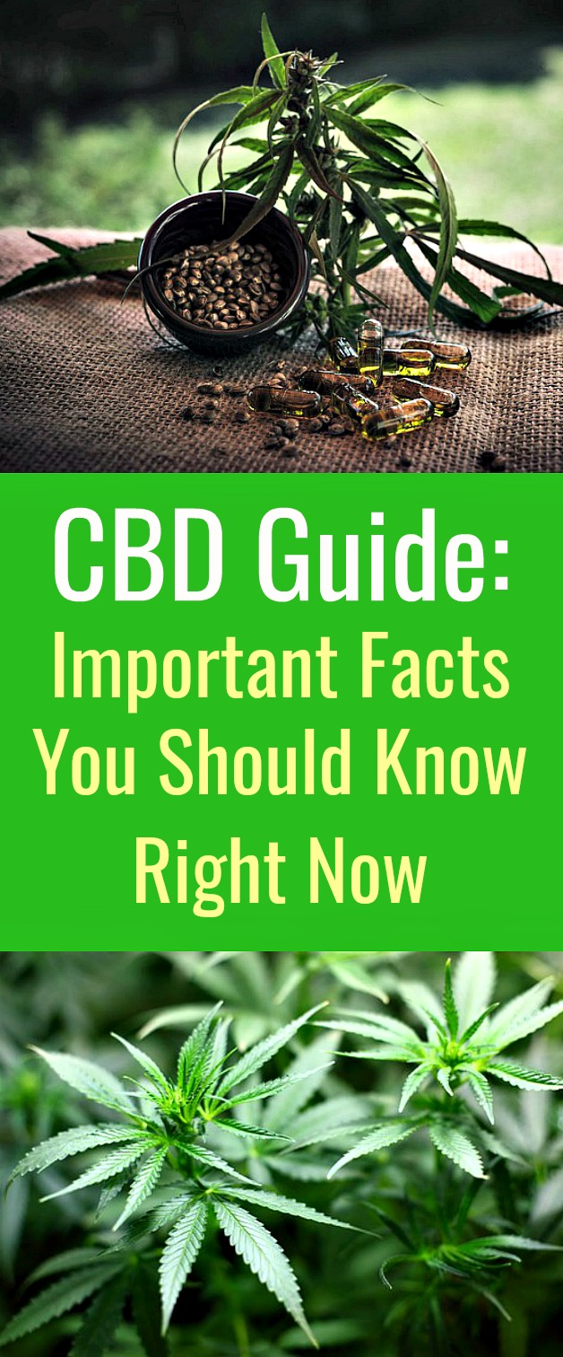 CBD Guide: Important Facts You Should Know Right Now - From skincare, healthcare, pain management to mental health, CBD has myriad therapeutic properties and several mental and physical health benefits. #CBD #CBDbenefits #CBDuses #CBDapplications #CBDforhealth #painmanagement CBD Guide: Important Facts You Should Know Right Now - From skincare, healthcare, pain management to mental health, CBD has myriad therapeutic properties and several mental and physical health benefits. #CBD #CBDbenefits #CBDuses #CBDapplications #CBDforhealth #painmanagement