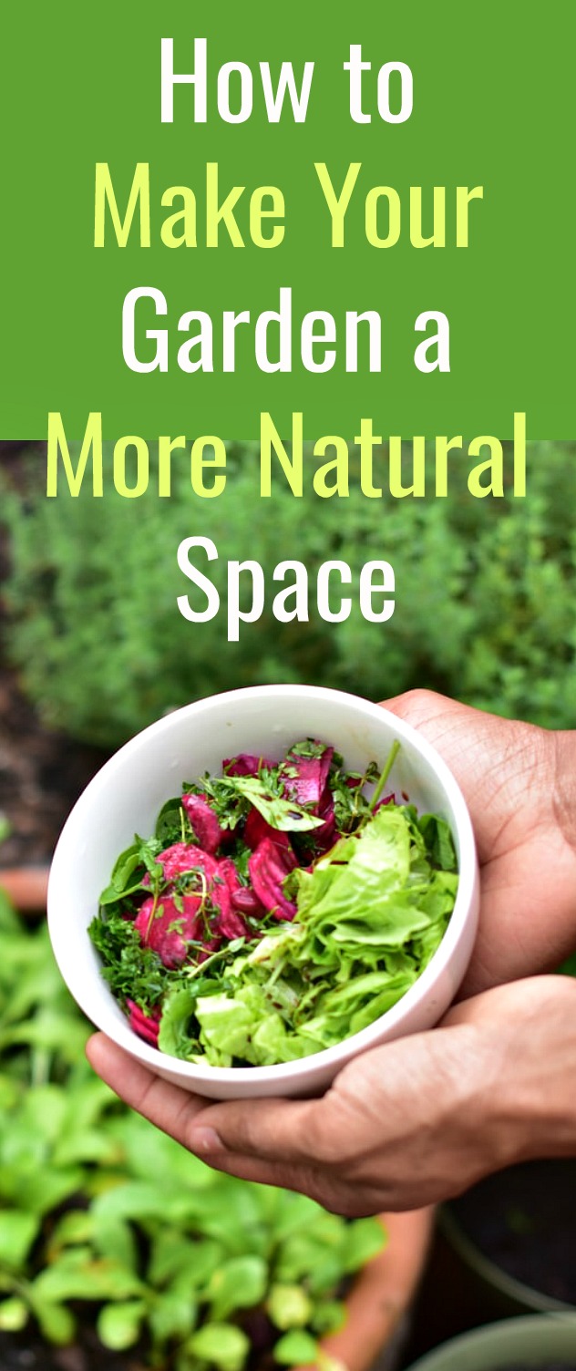 How to Make Your Garden a More Natural Space - Here are some of the methods you can use and equipment you can swap to make your garden the most natural space possible Using these strategies, you should be able to make sure that your garden remains as green and natural as possible. #garden #gardening #ecofriendlygardening #ecofriendlygarden #naturalgardenproducts #greengardenproducts #environmentallyfriendly How to Make Your Garden a More Natural Space - Here are some of the methods you can use and equipment you can swap to make your garden the most natural space possible Using these strategies, you should be able to make sure that your garden remains as green and natural as possible. #garden #gardening #ecofriendlygardening #ecofriendlygarden #naturalgardenproducts #greengardenproducts #environmentallyfriendly