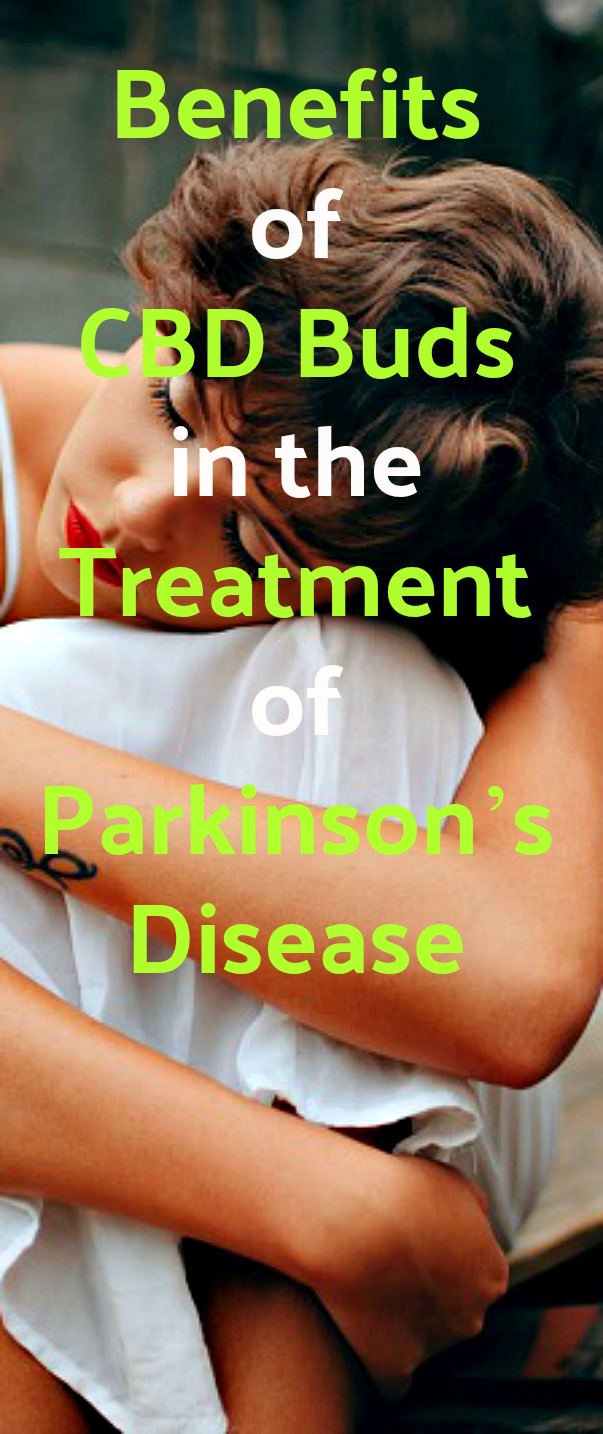 Benefits of CBD Buds in the Treatment of Parkinson’s Disease - Several studies have shown that CBD buds have neuroprotective, anti-inflammatory, and antioxidant properties. The antioxidant and neuroprotective features of CBD buds help relieve stress which is the most common trigger for a lot of the symptoms of Parkinson’s disease. #CBDBuds #Parkinson’sDisease Parkinson’s #CBD #CBDbenefits #stress #stressrelief #CBDandstress Benefits of CBD Buds in the Treatment of Parkinson’s Disease - Several studies have shown that CBD buds have neuroprotective, anti-inflammatory, and antioxidant properties. The antioxidant and neuroprotective features of CBD buds help relieve stress which is the most common trigger for a lot of the symptoms of Parkinson’s disease. #CBDBuds #Parkinson’sDisease Parkinson’s #CBD #CBDbenefits #stress #stressrelief #CBDandstress