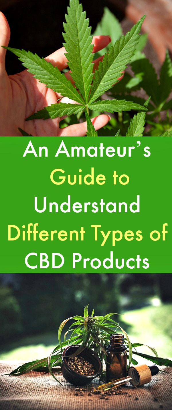 An Amateur’s Guide to Understand Different Types of CBD Products - Being low in THC, CBD boosts your endocannabinoid system -- which ultimately results in improved body functions -- without the risk of getting high. With an organic base of cannabis, CBD products are among the hottest new health trends in the town. Here is a guide to the types of CBD products available. #CBD #CBDOil #CBDProducts #cannabis #typesofCBDproducts #CBDedibles #CBDSublinguals An Amateur’s Guide to Understand Different Types of CBD Products - Being low in THC, CBD boosts your endocannabinoid system -- which ultimately results in improved body functions -- without the risk of getting high. With an organic base of cannabis, CBD products are among the hottest new health trends in the town. Here is a guide to the types of CBD products available. #CBD #CBDOil #CBDProducts #cannabis #typesofCBDproducts #CBDedibles #CBDSublinguals