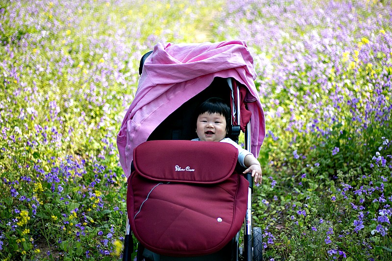 5 Ways to Keep Your Family Cool This Summer 5 Ways to Keep Your Family Cool This Summer