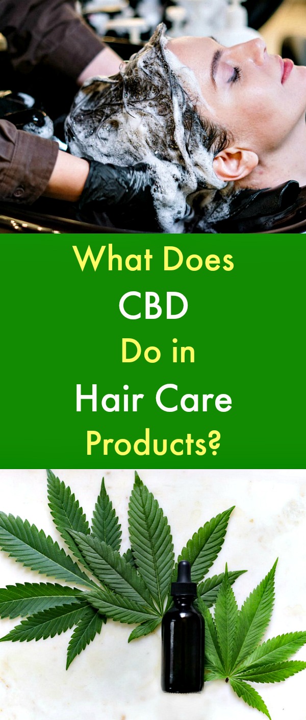 What Does CBD Do in Hair Care Products? - CBD hair care products are the next big frontier for cannabidiol. The anti-inflammatory properties of CBD are a benefit for those who experience scalp challenges. When the right cannabis oils are infused into the products, the biggest benefits are the way CBD treats inflammation and irritation. #CBD #CBDoil #cannabidiol #haircare #hairproducts #CBDhairproducts #CBDhaircare #scalpcare What Does CBD Do in Hair Care Products? - CBD hair care products are the next big frontier for cannabidiol. The anti-inflammatory properties of CBD are a benefit for those who experience scalp challenges. When the right cannabis oils are infused into the products, the biggest benefits are the way CBD treats inflammation and irritation. #CBD #CBDoil #cannabidiol #haircare #hairproducts #CBDhairproducts #CBDhaircare #scalpcare