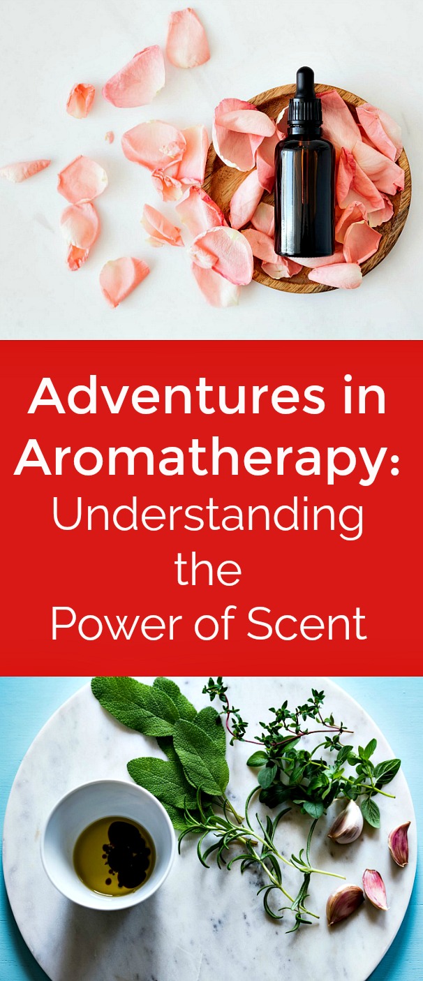 Adventures in Aromatherapy: Understanding the Power of Scent - Aromatherapy, also known as essential oil therapy, is a form of holistic medicine that uses the power of scent to increase health and well-being. There are plenty of benefits to essential oils. It's always a good idea to stock up on a few of your favorite scents and a diffuser. #essentialoils #aromatherapy #holisticmedicine #lavender #rose #clove #peppermint #cedarwood Adventures in Aromatherapy: Understanding the Power of Scent - Aromatherapy, also known as essential oil therapy, is a form of holistic medicine that uses the power of scent to increase health and well-being. There are plenty of benefits to essential oils. It's always a good idea to stock up on a few of your favorite scents and a diffuser. #essentialoils #aromatherapy #holisticmedicine #lavender #rose #clove #peppermint #cedarwood