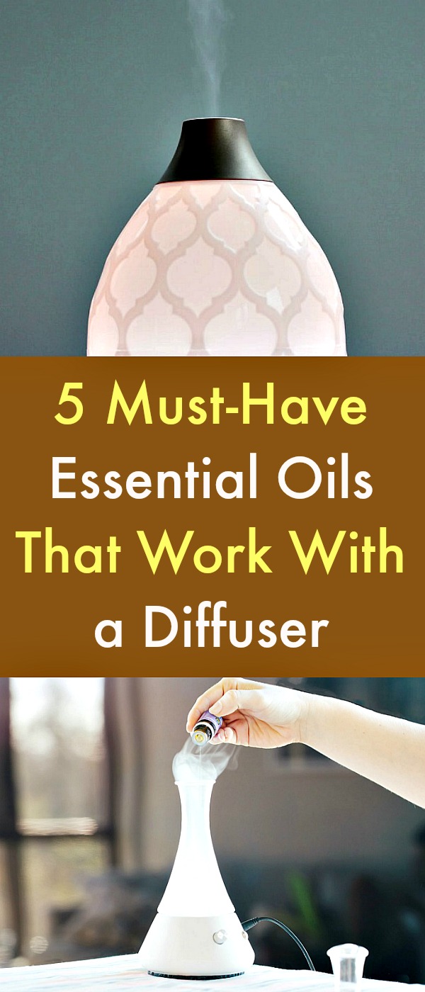 5 Must-Have Essential Oils That Work With a Diffuser - Essential oils are growing in popularity and have many alternative health benefits. Many essential oils are valuable for treating common ailments such as energy deprivation, anxiety and depression and can be used for holistic healing. Here are five must-have essential oils that work with a diffuser, and that may improve your current lifestyle. #essentialoils #diffuser #aromatherapy #holistichealing #alternativehealth #essentialoildiffuser 5 Must-Have Essential Oils That Work With a Diffuser - Essential oils are growing in popularity and have many alternative health benefits. Many essential oils are valuable for treating common ailments such as energy deprivation, anxiety and depression and can be used for holistic healing. Here are five must-have essential oils that work with a diffuser, and that may improve your current lifestyle. #essentialoils #diffuser #aromatherapy #holistichealing #alternativehealth #essentialoildiffuser